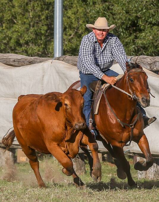 WINNING EDGE: Adrian Lamb competing in the Taroom Open draft final. Picture: Sue Waldron Photos