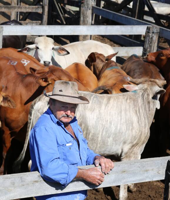 Cliff Jensen, Coalstoun Lakes, with a pen of his feeder steers that sold for 342.2c/kg or $1551/head.
