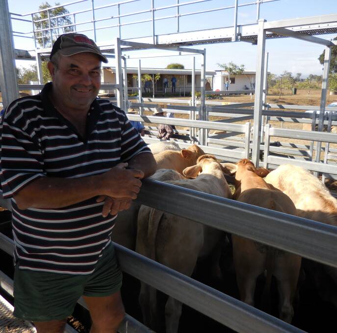 TOP SELLER: Alf Hillier of Chinghee with Fred and Mary Drake’s Charbray steers which topped the sale at $1415.