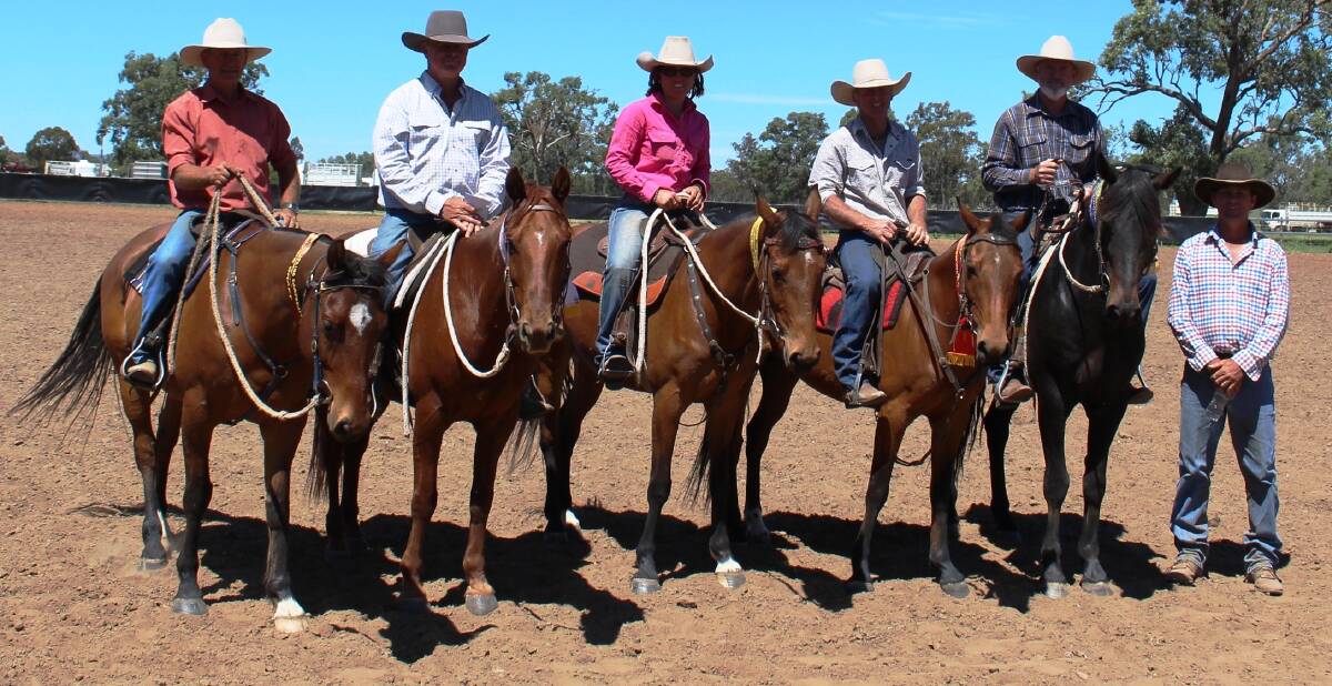 DRAFT SUCCESS: Tooloombilla campdraft Novice draft place receivers line up for presentation. Picture: Sally McGilvray