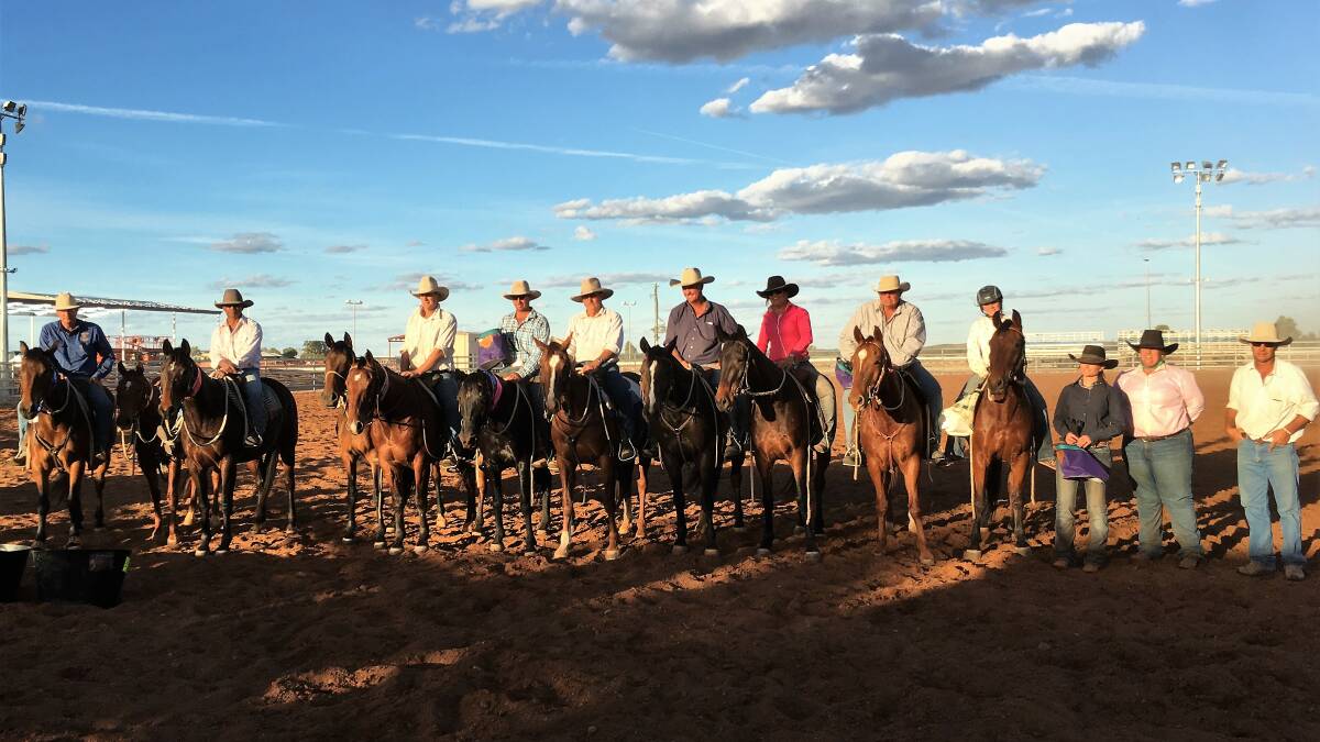 DRAFT SUCCESS: Cloncurry Hacon & Sons Novice Line up ready for their ribbon presentation. - Photo: Stacey Robertson