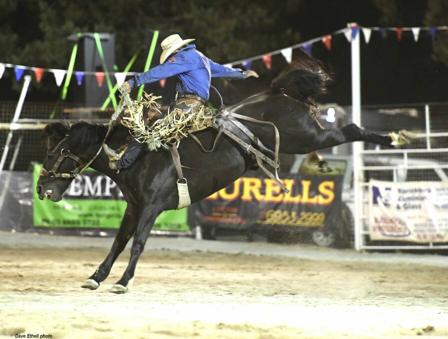 Tooma cowboy: Brad Pierce will be the rider to beat  in the long weekend rodeos in Victoria. - Picture: Dave Ethell www.dephotos.com.au