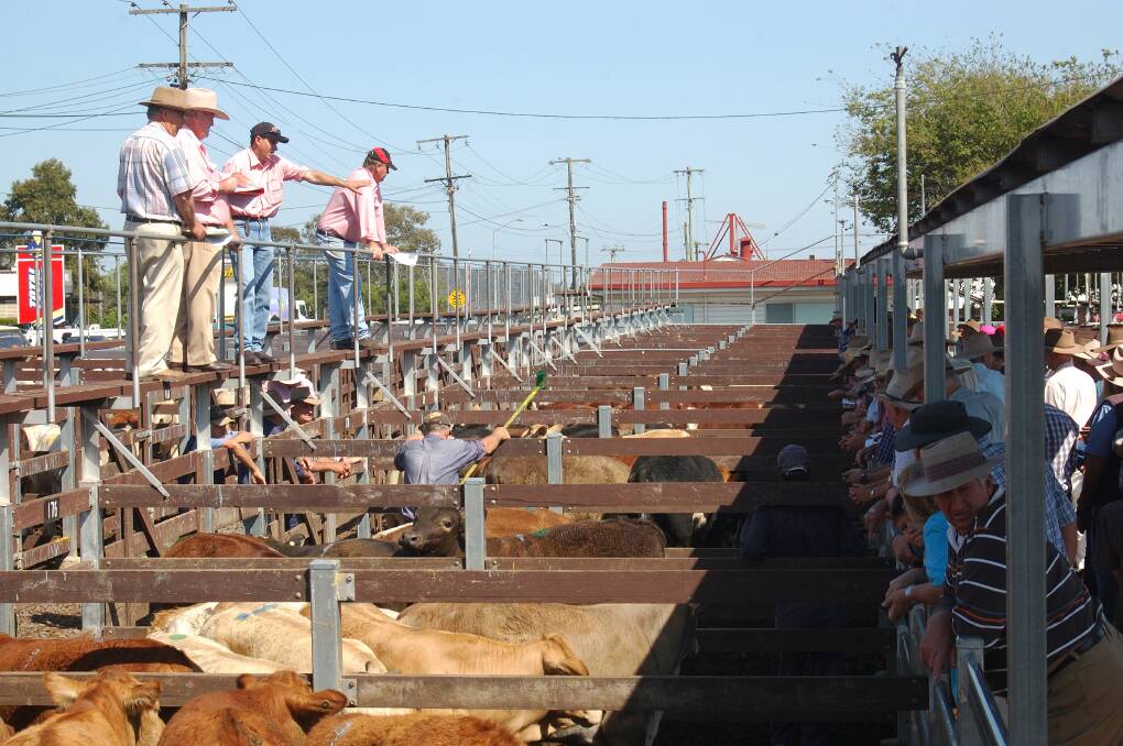 Most saleyards and selling platforms have real time market information whether via livestream, twitter or the system itself. 