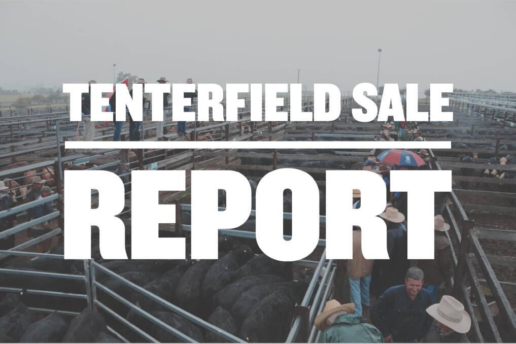 Steers sell to $1868.75 at Tenterfield