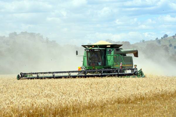 Northern wheat values ease as US futures fall