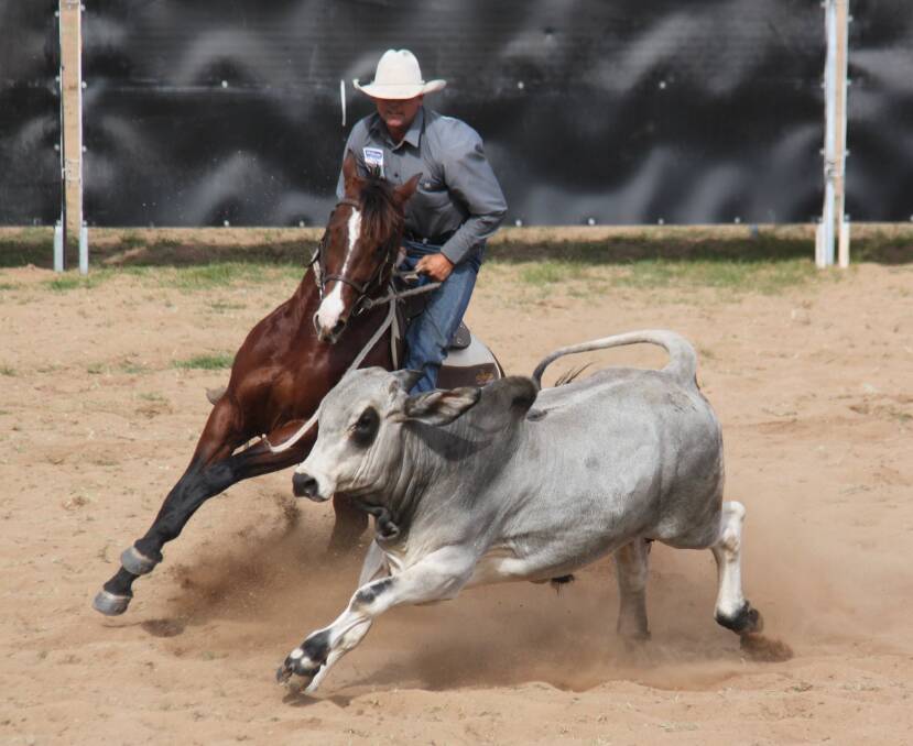 ACTION PACKED: Scott Schoo competing at Clermont Pony Club draft. - Picture: Melissa Clifford-Death