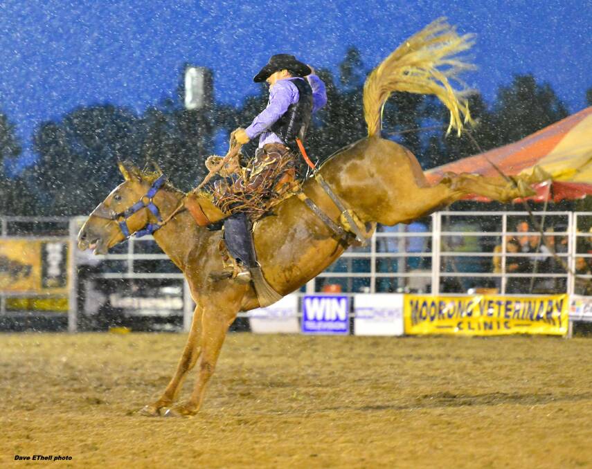 Mitchell's hometown hero Greg Hamilton, pictured on Akubra Cowgirl, will be one of the riders to watch at the New Year’s Eve Rodeo at Mitchell. - Picture: Dave Ethell Photos