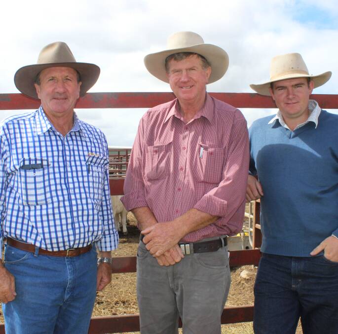 IN THE YARDS: Warwick David Friend, Nowlan Stock and Station Agency, Killarney, with buyer Pat McMahon, and his son Ben McMahon, Lehman Stock and Property, Inverell, NSW.