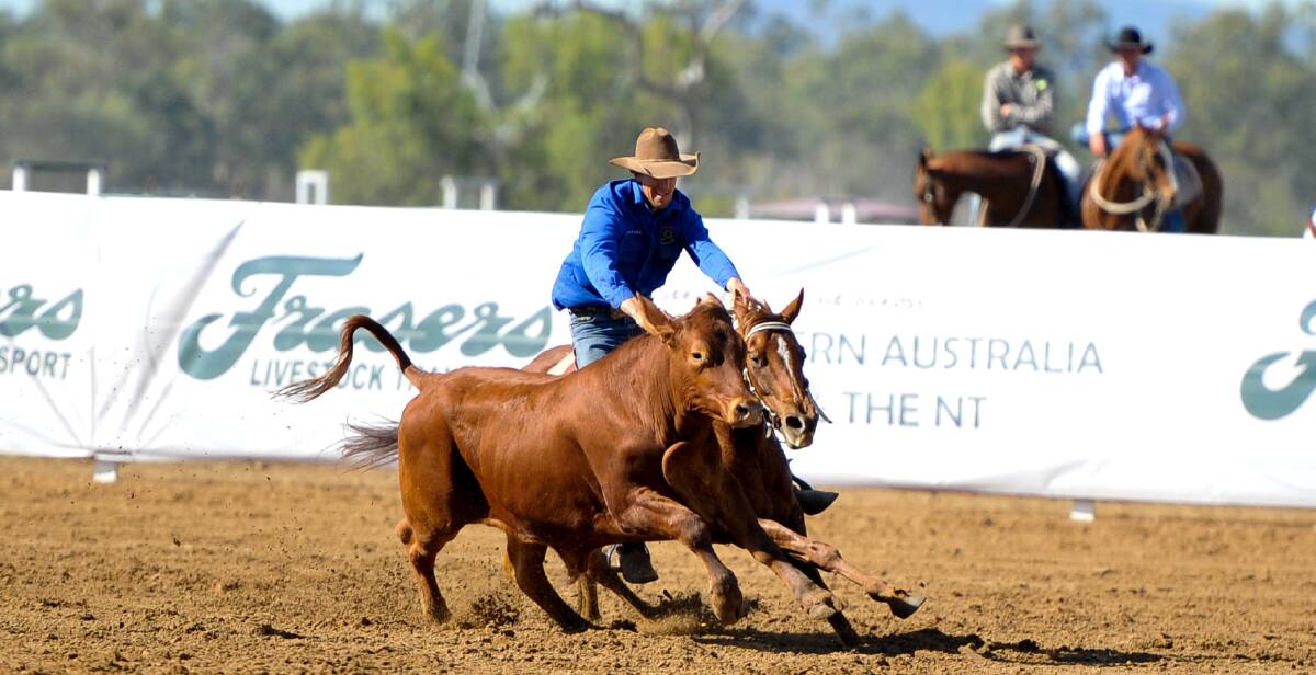 Central Zone: Ariat Open Rider Jason Lindley in action as other competitors look on. The battle continues for top spot. - Picture: JS Photography