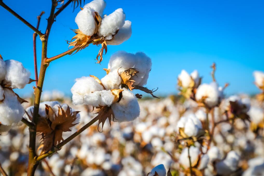 On top of its comprehensive annual spray drift campaign, which has been in effect for many months now, Cotton Australia has worked hard in recent weeks to tackle the problem at the advocacy level.