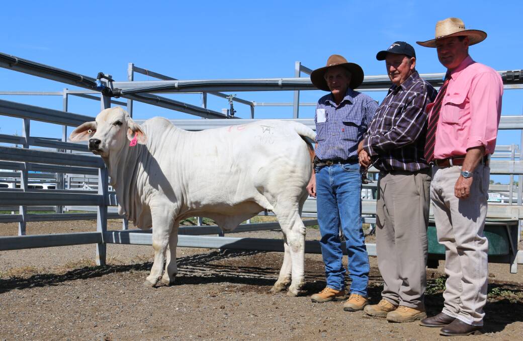 Second top female $15,000 Avee 766 (P) and buyer Bill Geddes with Bill Gabel and Michael Smith.