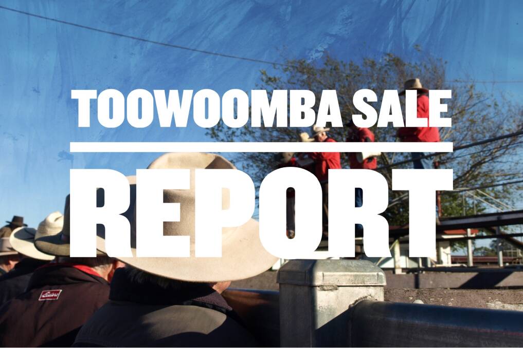 Heavy bullocks value up to 324.2c at Toowoomba