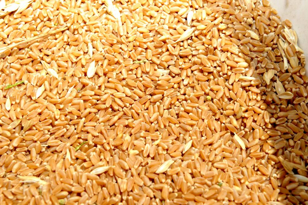 Global wheat crop smallest in years