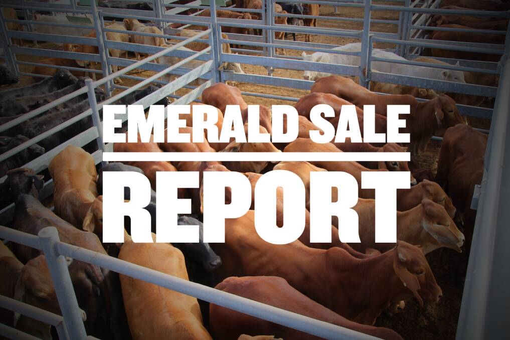 Weaner steers to 361c at Emerald sale