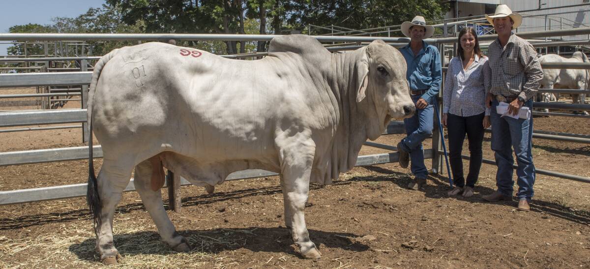 WILANGI SALE: Brian Hughes, Lanes Creek Brahmans, with Holly and Cody Sheahan, The Orient, who bought $31,000 Willtony Tallyho on behalf of John Joyce, Tropical Cattle.