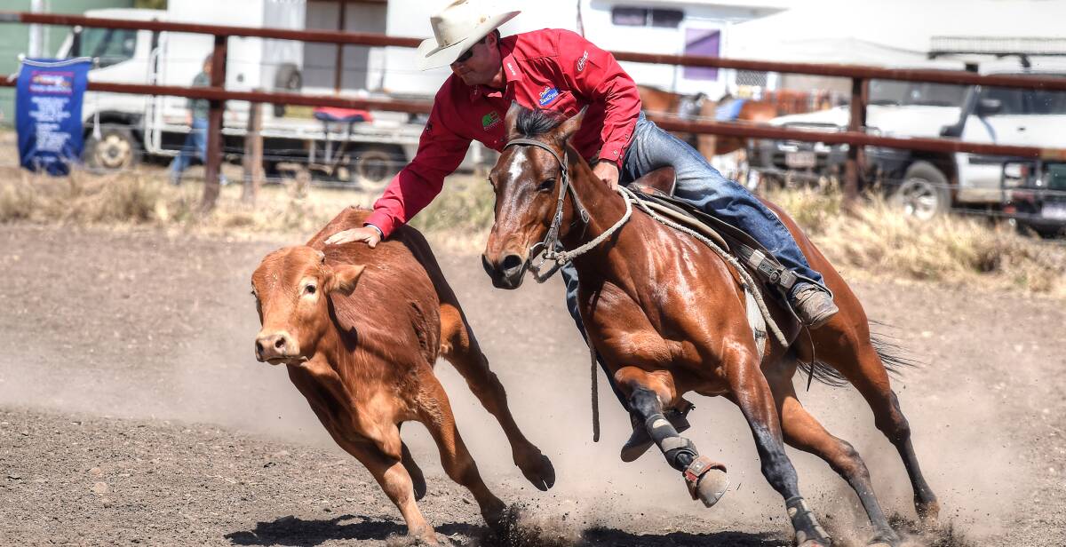Central Zone: Kicking up the dust is Cannard Hats Cutout Horse contender Katie ridden by Bill Matton. - Picture: Norm Crouch Photography
