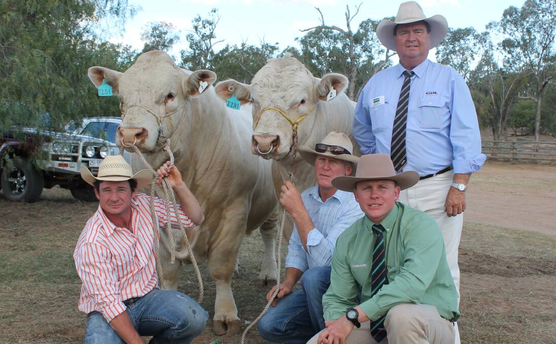 TOP SELLERS: Joint $22,000 bulls, Moongool Jethro and Moongool  J281 (P) are held by Lonnie Stone and Ivan Price of Moongool Charolais with auctioneers Colby Ede, Landmark, Toowoomba and Peter Brazier, GDL, Dalby.