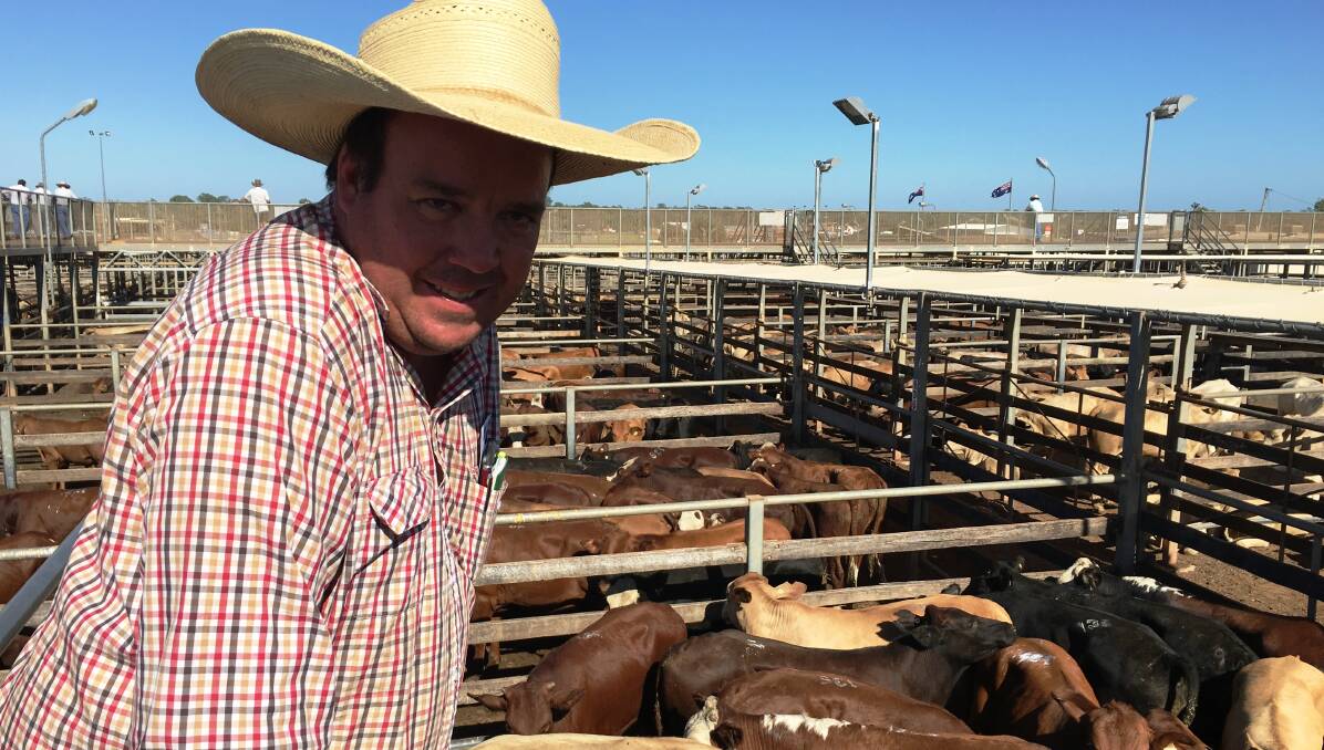 ROMA STORE: Dan Bock, Kilto, Wandoan, watched his family’s steers sell for  352c/kg for 326kg to return $1148/head.