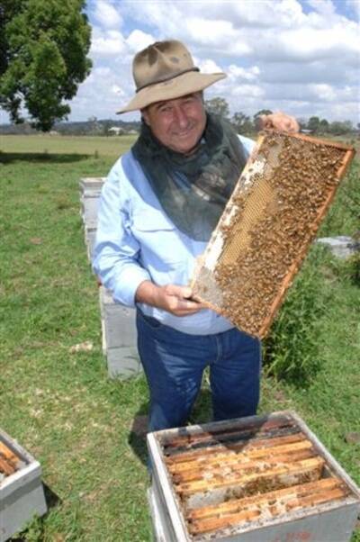 Queensland bee keeper, Dave Elson, with a healthy hive protected from the small hive beetle by a bait trap.