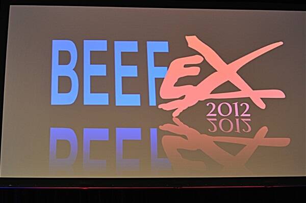 BeefEx: A visual feast