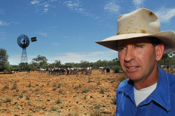 MDH boss Zanda McDonald, pictured at Devoncourt, Cloncurry in 2010, is eyeing new technolgical developments to deliver gains to his family's sprawling beef empire. Picture: RODNEY GREEN. 