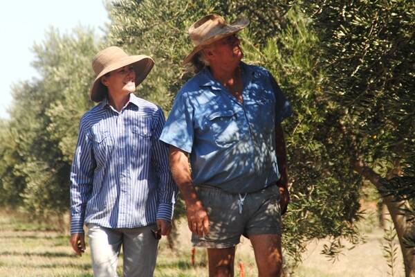 Bill and Karen McLennan, Sommariva Olives, Charleville, diversified their cattle property into olives.
