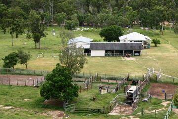 The grassed up Ravenswood cattle property Avocavale has sold at auction.