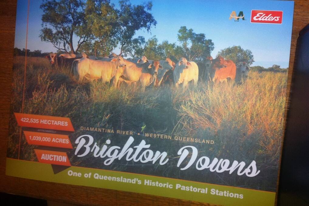 Brighton Downs, Winton, will be auctioned by Elders tomorrow.
