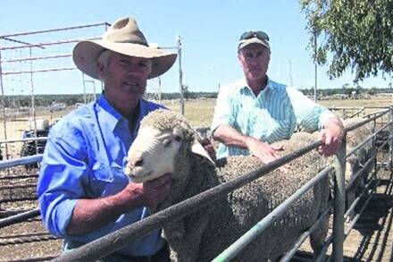 Errol Brumpton with Neil Williams, Yarong, Forbes, and one of their new age rams.
