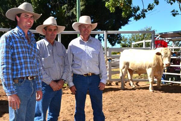 Repeat buyer, Shane Benney (centre), Merrigang, Clermont, purchased three bulls at the Hopgood Charolais sale including two lots for the sale top price of $6500. Mr Benney is congratulated by vendors, Mark and Michael Hopgood, Hopgood Charolais, The Summit, as they inspect one of the sale toppers, Hopgood Goal.