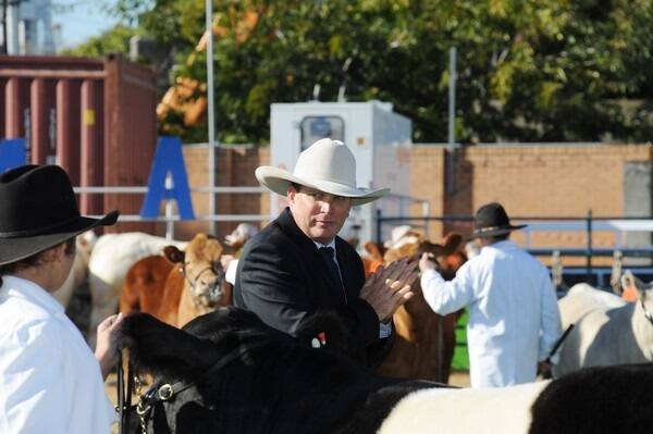 Competition was fierce between the school cattle teams at the Ekka in Brisbane this week.