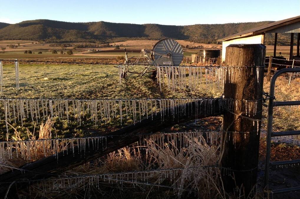 It’s 6.30am on Friday at Gladfield with the offending irrigator behind the icicle creation. The temperature was about minus 3C. – Picture: JENNI KERLE.