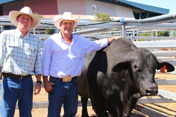 Couti-Outi Redford sold for $28,000 to top the Central Brangus Classic. The bull is pictured with Lou Geddes (on left), Couti-Outi, Kunwarara, and new owner, Jarrod Deguara, Bimbora Brangus, Duania Station, Nebo.