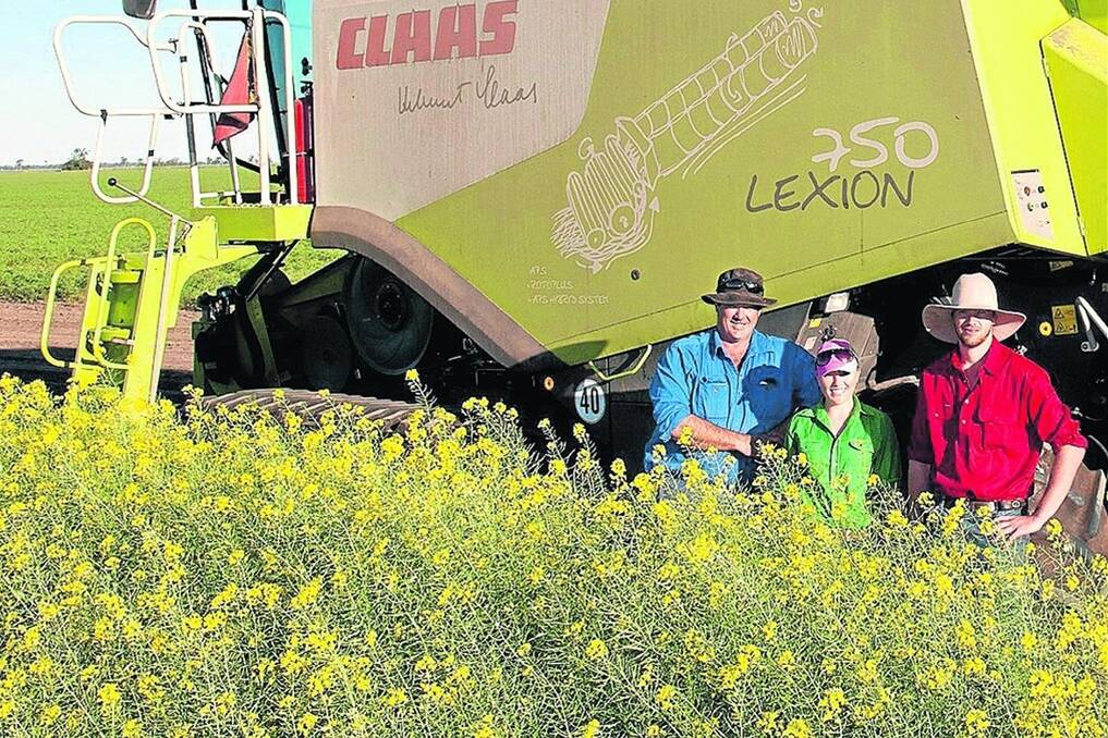 Cliff Weier and his helpers Tegan and Karl Henry, look over their canola crop at  Fairview, Dalby.