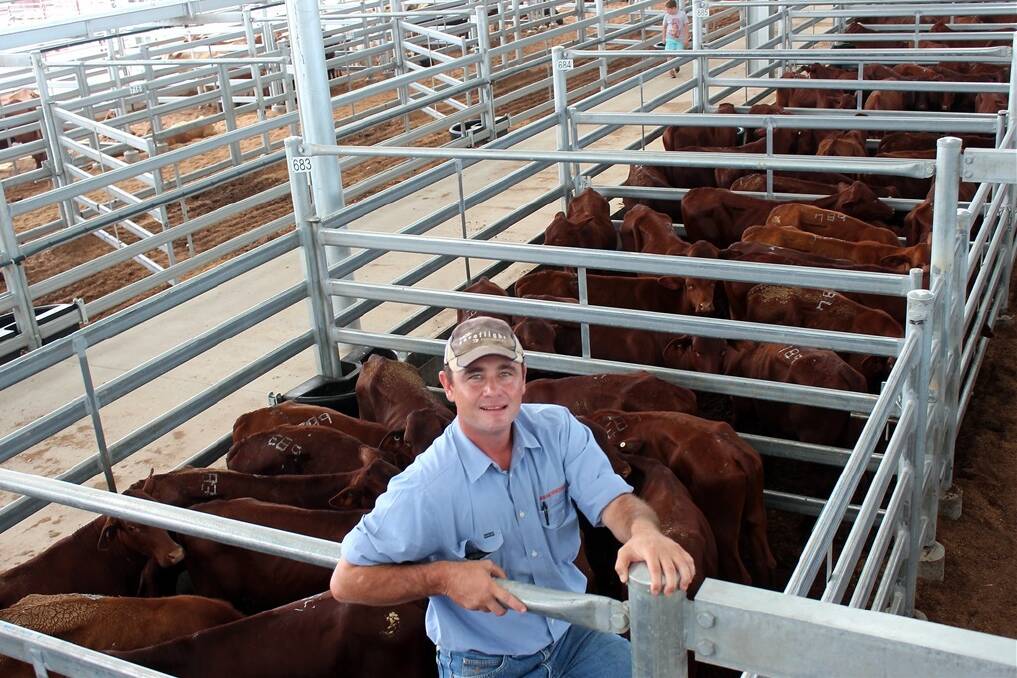 Ryan Dellit, Graham Henderson and Co, Dalby, with a run of 190 Santa-cross mixed-sex weaners. The weaners were set to be sold late Wednesday morning on behalf of Scott and Jo Pegler, Monler, Eromanga, who were offloading due to the ongoing drought.