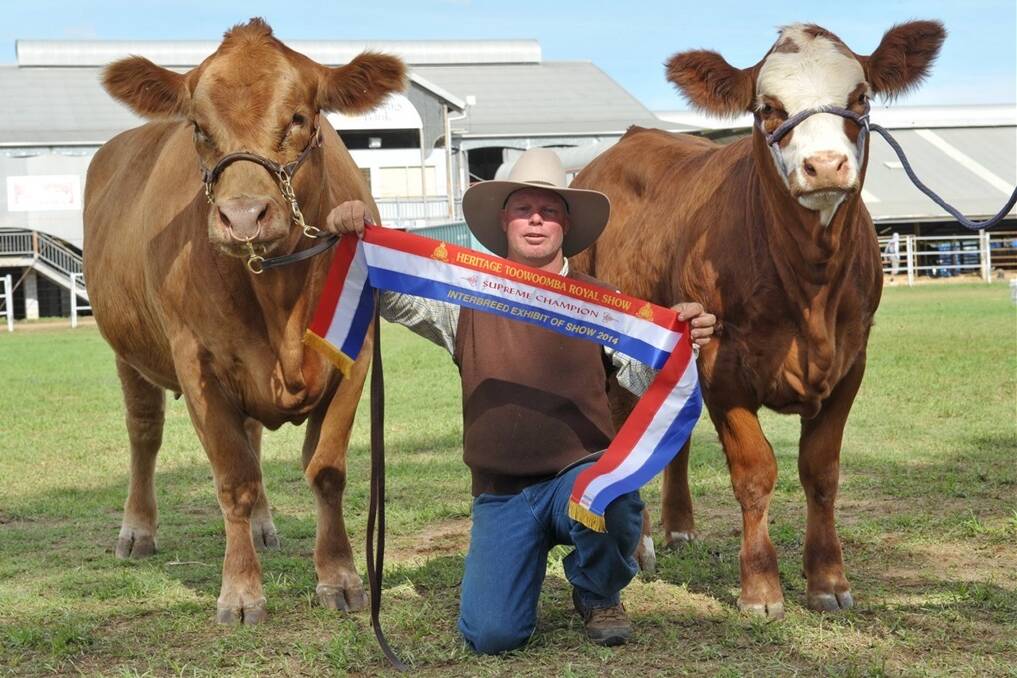 Les Lee, Leegra Fitting Service, Murgon, with the Malcolm McCosker Memorial interbreed trophy winner, Sylvandale Hanneli (P) and her calf KBV Justice.