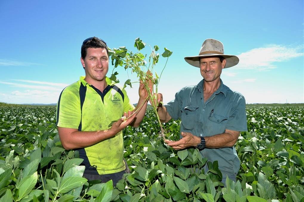 Greg Zipf and son Mitchell at the family sugarcane property near Beenleigh, where they are preparing to harvest the rotational crop of soya beans.