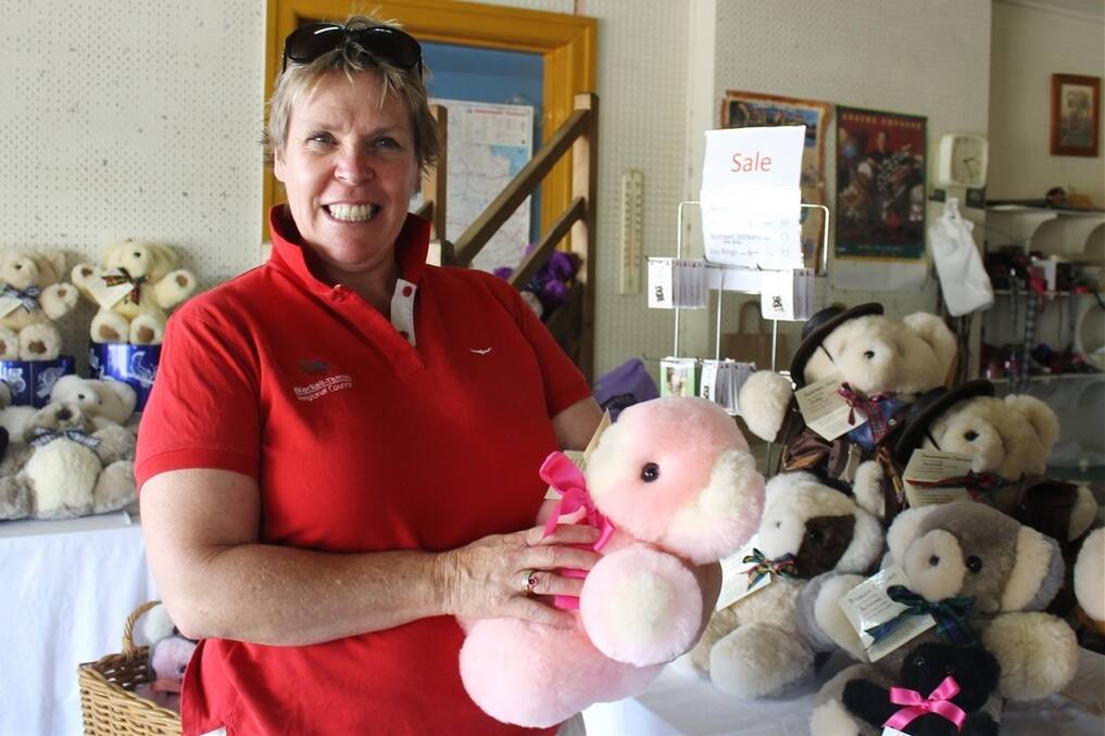 Pink is one of the trendy new colour combinations being trialled by Alison Shaw and fellow Tambo Teddies owners.