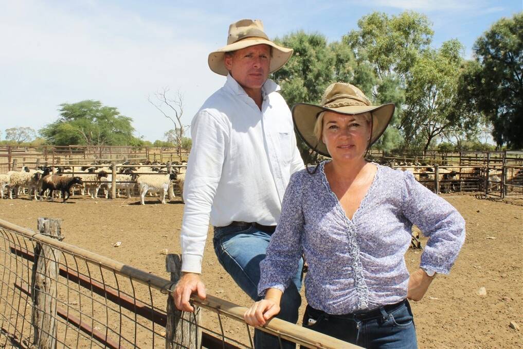 Andrew and Maree King with another load of Dorper lambs ready for processing in Longreach.