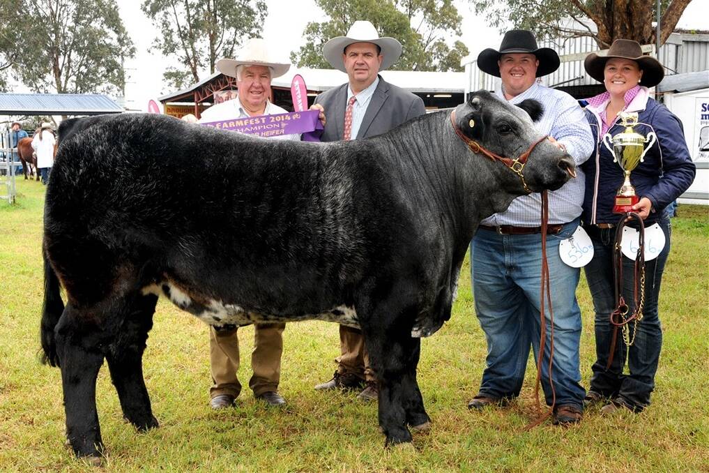 Farmfest champion open led steer, Blueberry Wine, was exhibited by Travis Luscombe and Allison McCabe, Ace High Led Steers and Fitting Service, Toowoomba, and sashed by event organiser, Len Barnes, and judge, Tim Bayliss, Armidale, NSW.