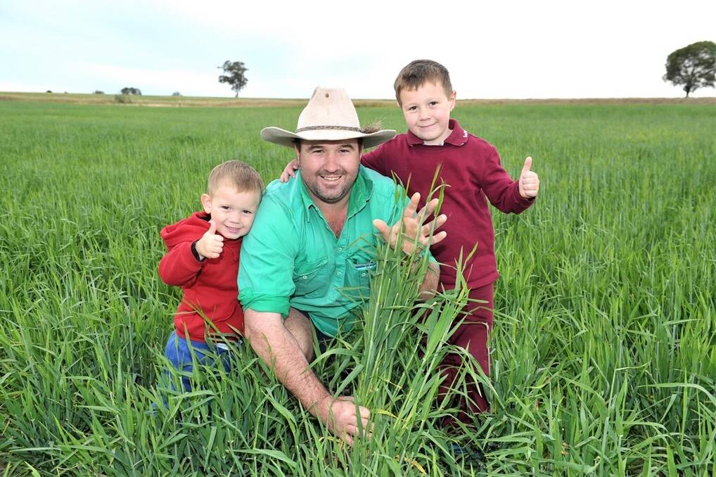 Greg Symes, Hill View, Wandoan, in a crop of barley with his sons Mitchell, 2, and Jake, 5. - Picture: RODNEY GREEN.