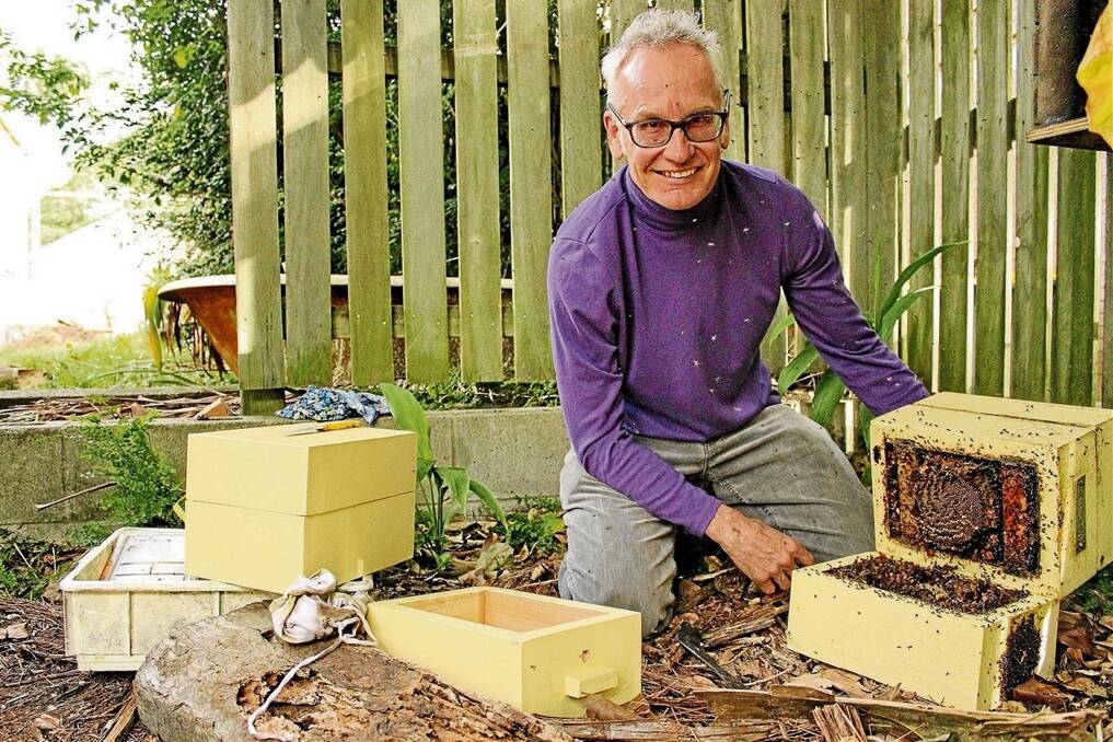 Queensland’s native bee enthusiast Tim Heard preparing to split a hive which has been set up in a Brisbane backyard.