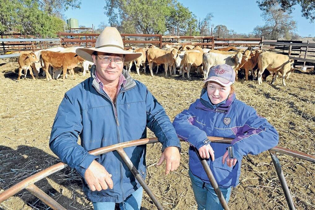 Craig Coomber, Jireh Park, Roma, with his daughter Anna, looking over steers he will grow out and sell through the Roma Saleyards. - Picture: RODNEY GREEN.