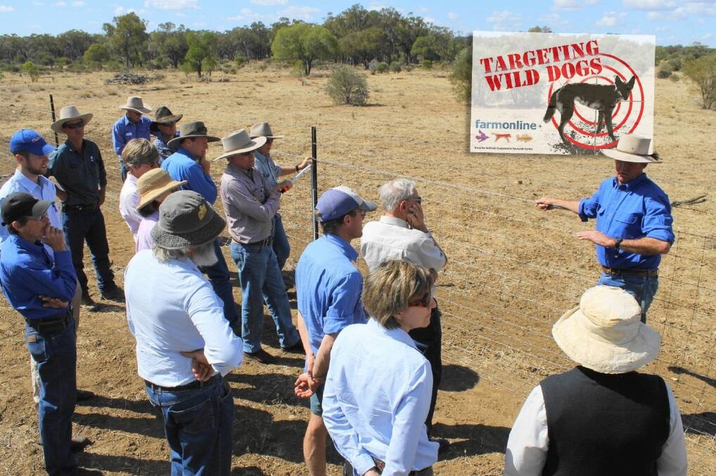  A Leading Sheep feral fence fact finding tour to Barcaldine and Blackall was sold out as graziers turn to fencing to regain productivity.