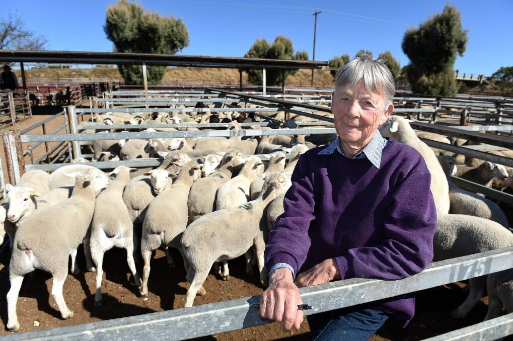 Sheep producer Margaret White, Toongabbie, Moonie, at the weekly Warwick sale.