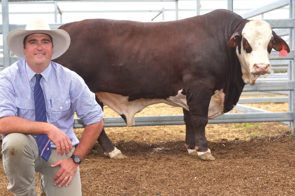  Little Valley stud principal Cameron Bennett had a lot to smile about today when his bull Little Valley Robo made the top price of $36,000 at the National Braford Bull Sale at Gracemere today.