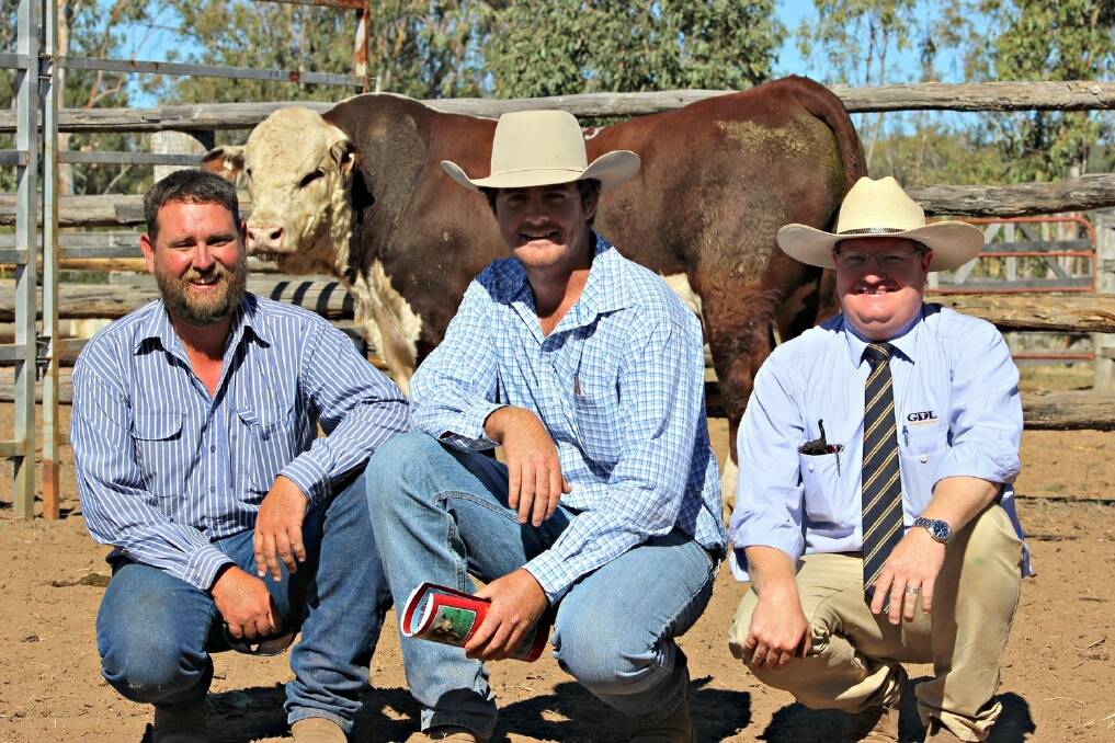 A delighted Devon Court principal Tom Nixon, Drillham, celebrates a successful Southern Cross sale with the buyer of his top priced bull, Cam Hollis, Lotus Hereford Stud, Glen Innes, NSW (centre) and GDL auctioneer Mark Duthie.