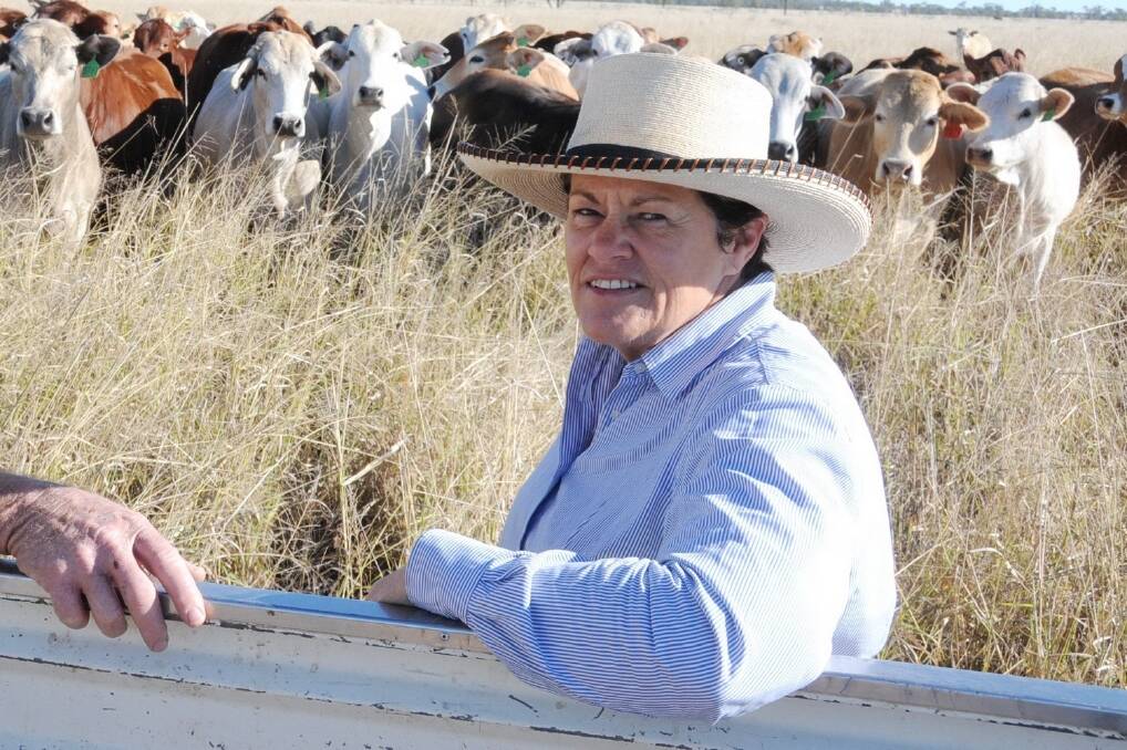 SPRINGSURE district beef producer Christine Rolfe, Birrong.