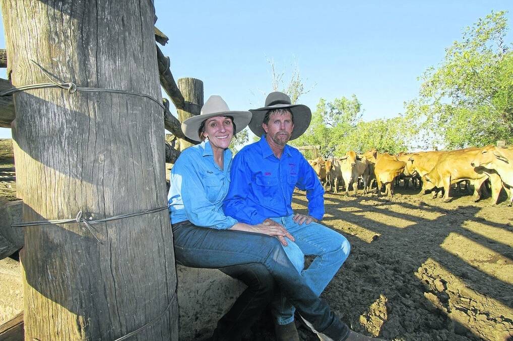 Louise and Billy Dunne have predominantly Red Brahmans at their property, Tarcoola, on the Mackenzie River, 70km north of Dingo. - Picture: Mark Coombe.