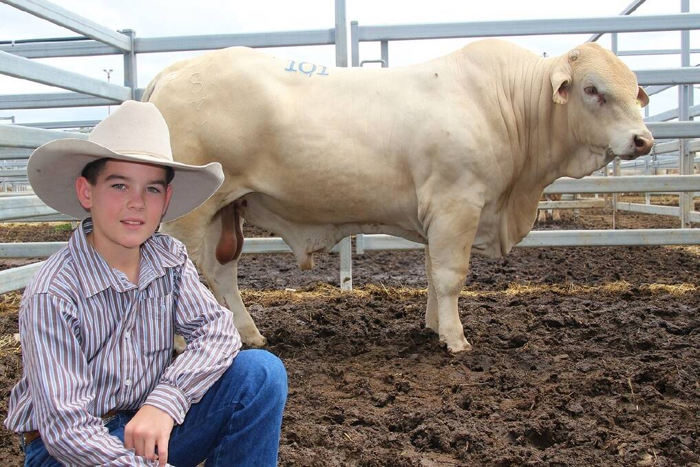 Bow Connor with the top priced bull at the National Charbray sale, Rosewood Hill Billy(P) that sold to Bettafield Charbrays, Gindi.